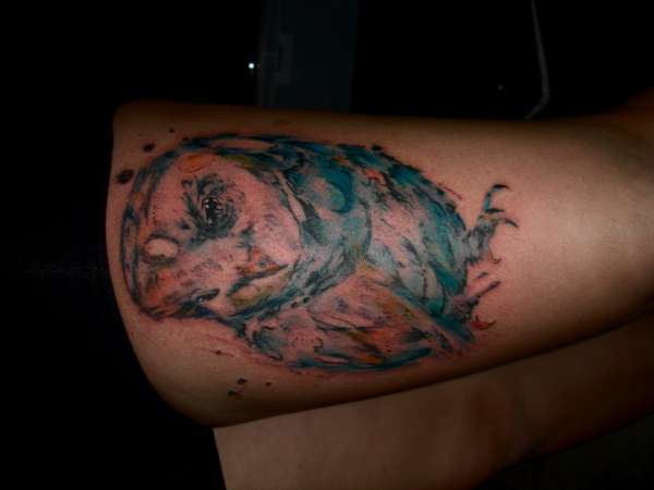 watercolor owl tattoo