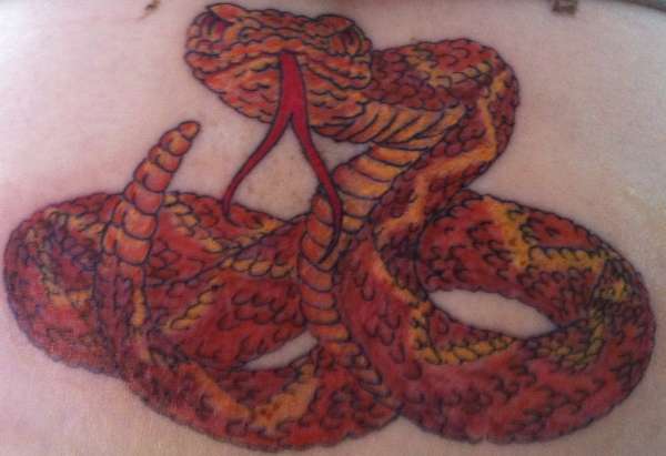 Rattlesnake Tattoo tattoo