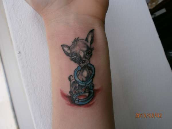 chiuaua tattoo tattoo