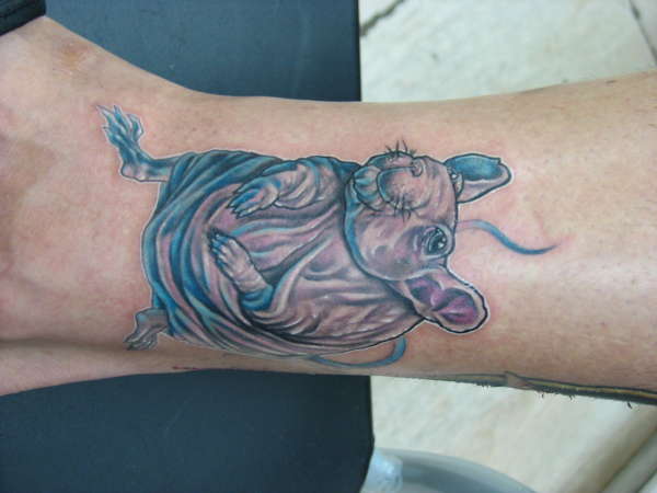 hairless rat tattoo