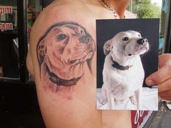 Dog portrait tattoo