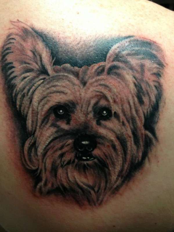 Yorkie portrait tattoo