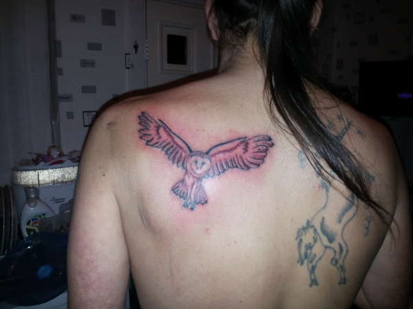 owl tattoo