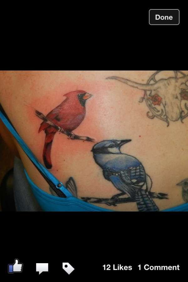 Blue Jay and Cardinal tattoo