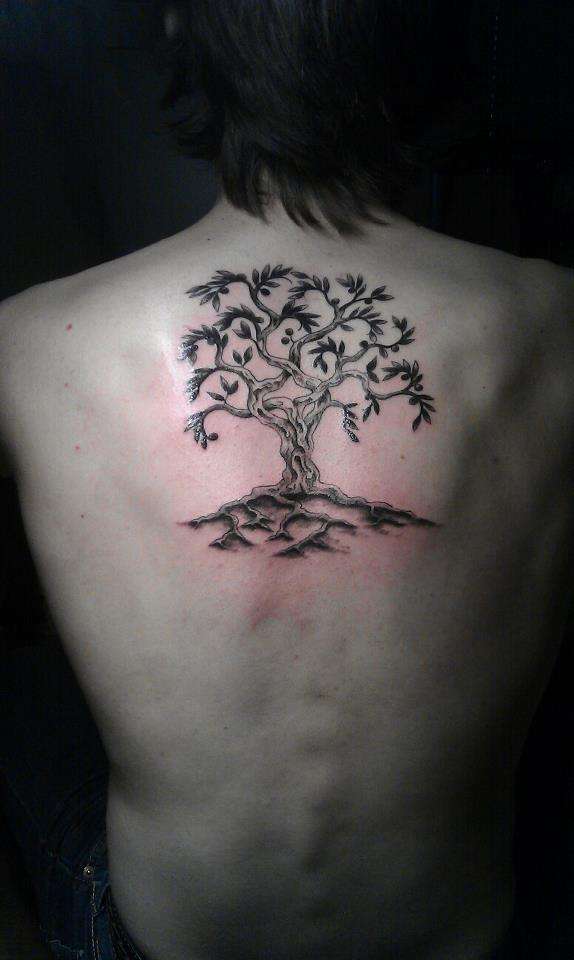 Olive tree tattoo