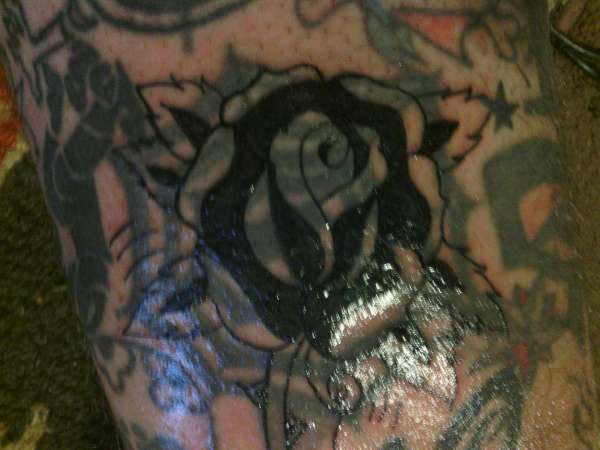 black rose tattoo