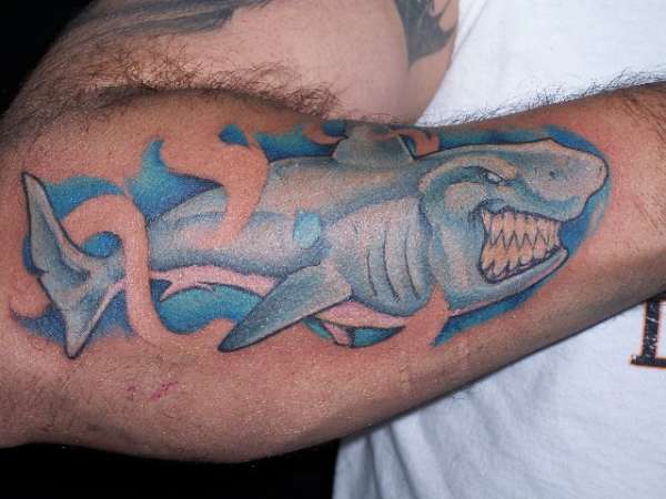 free hand shark tattoo