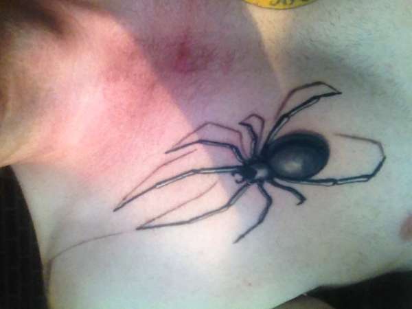 Spider tattoo