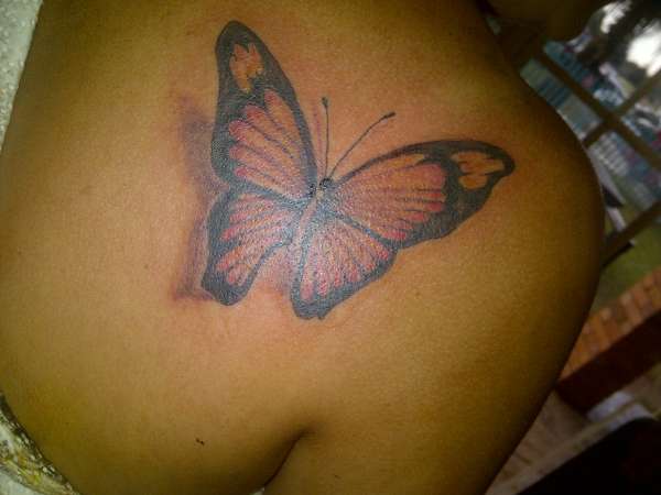 butterfly tattoo