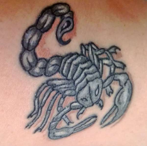 my scorpion tattoo
