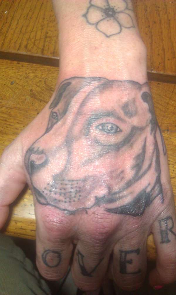 pitbull tattoo