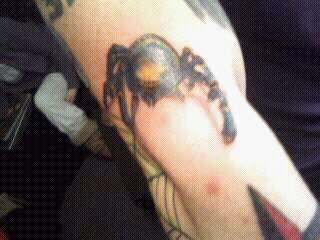 spider tattoo