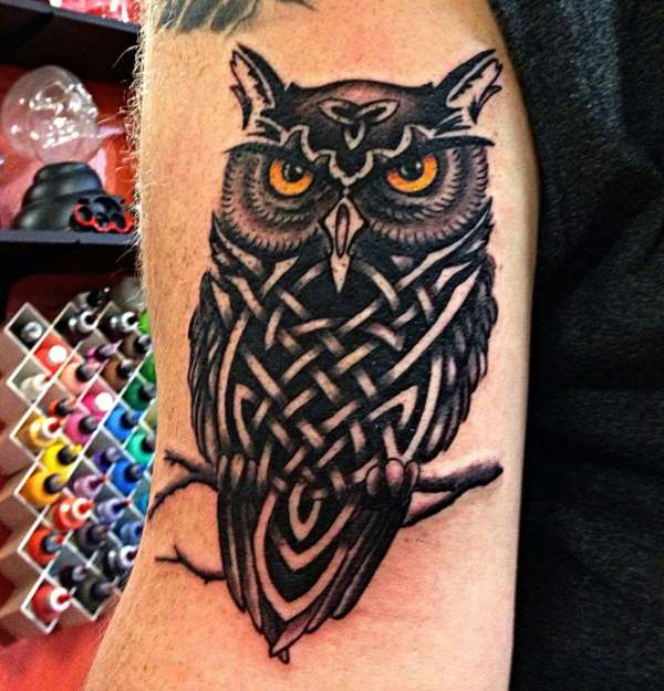 Owl with Celtic knotwork tattoo