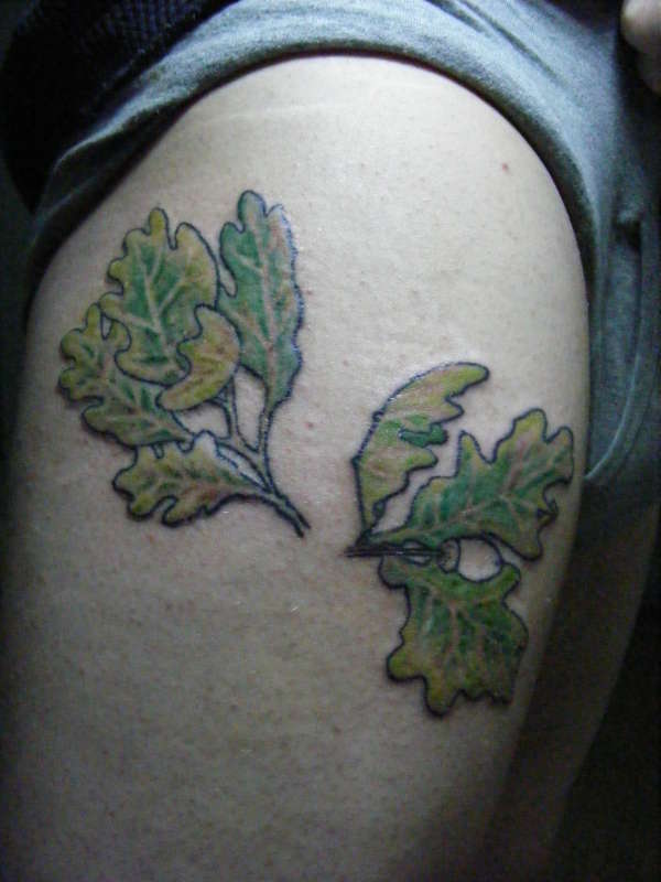 oak leaves tattoo