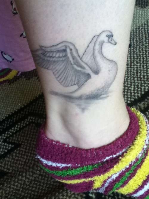 Swan tattoo - healed tattoo