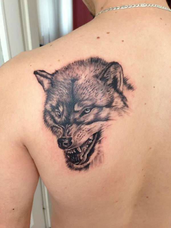 Wolf tattoo
