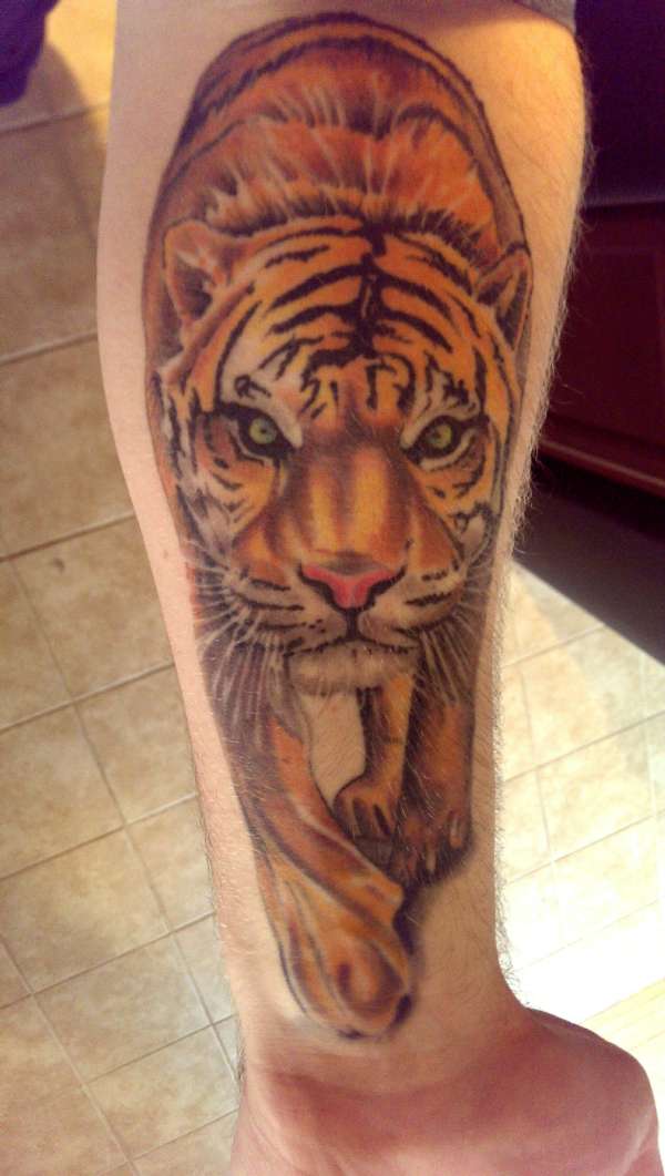 tiger tattoo tattoo