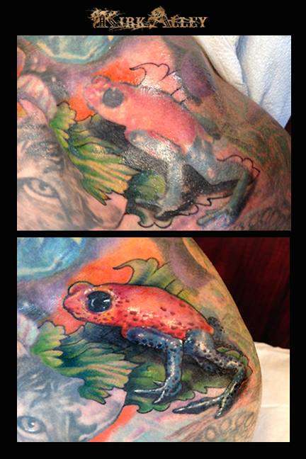 Poison Arrow Frog re done tattoo
