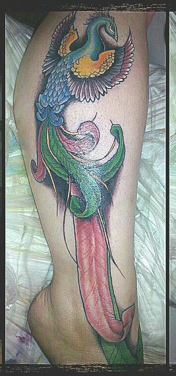 phoenix tattoo