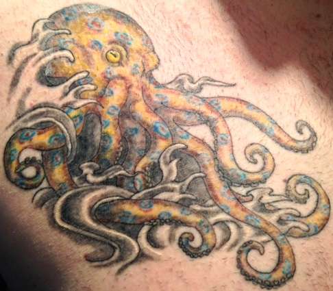 Blue Ringed Octopus tattoo