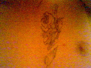 bf's tat on left side of chest tattoo