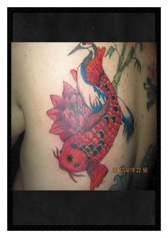 Koi Fish and Krane tattoo