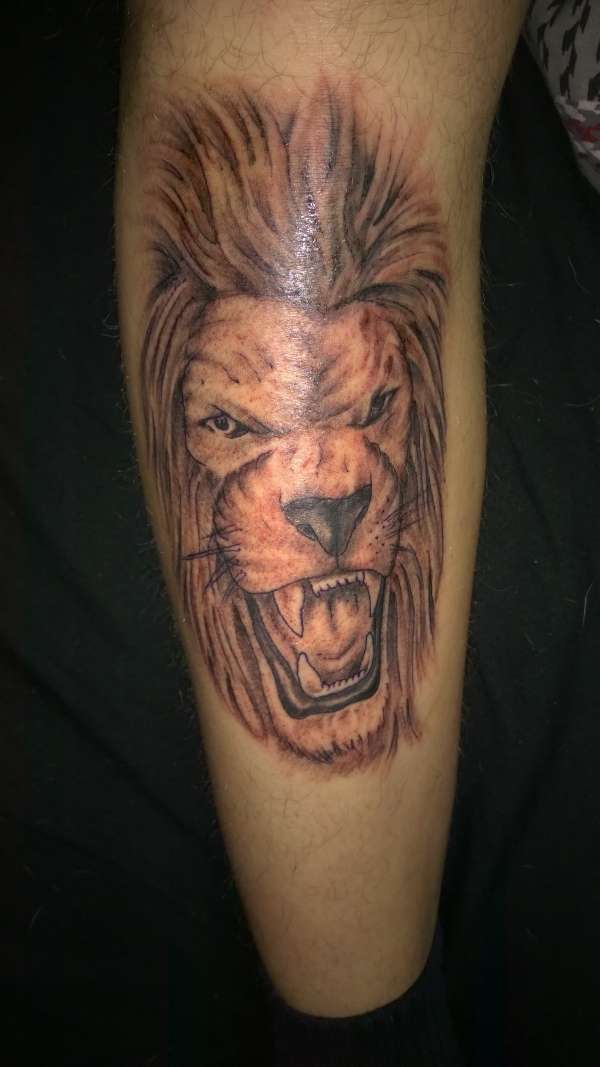 Lion tattoo
