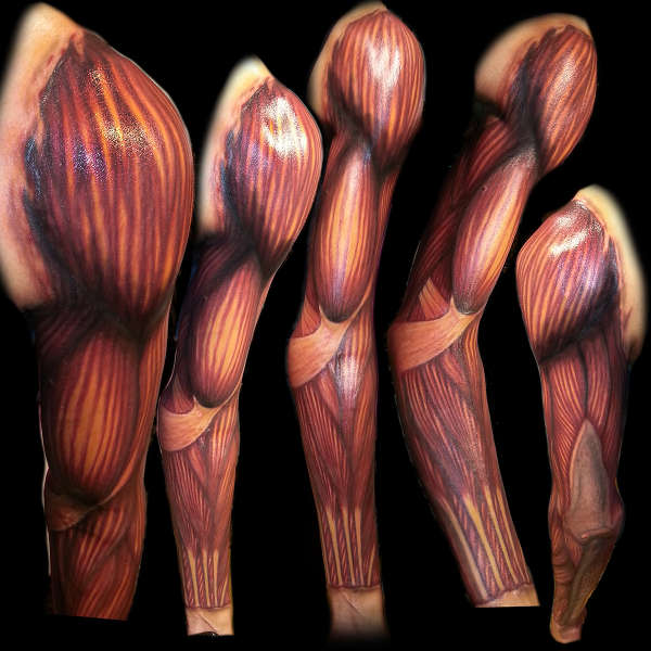 arm muscles tattoo tattoo