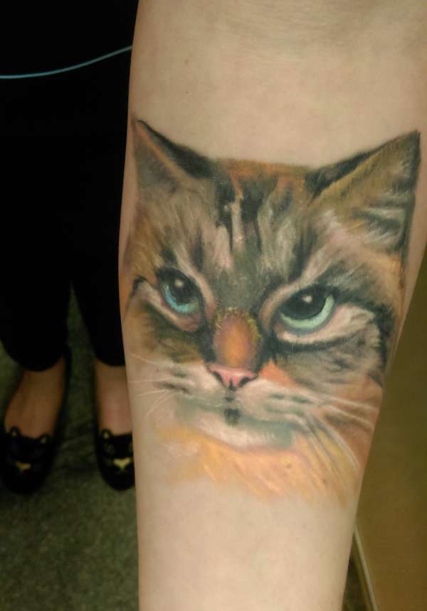 Cat portrait tattoo - still healing tattoo