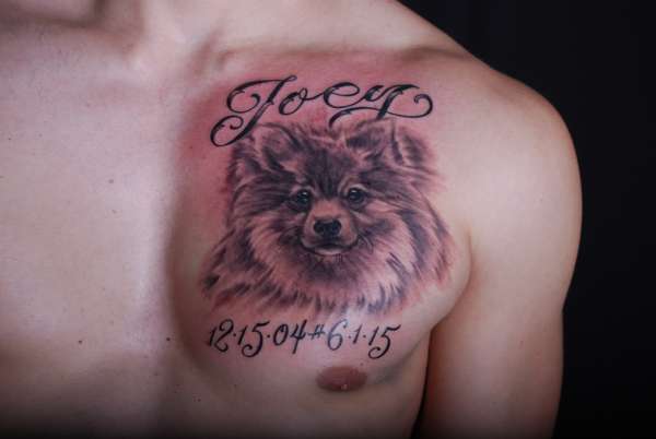 Dog Memorial  Portrait tattoo