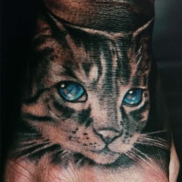 cat portrait by Steve'O tattoo