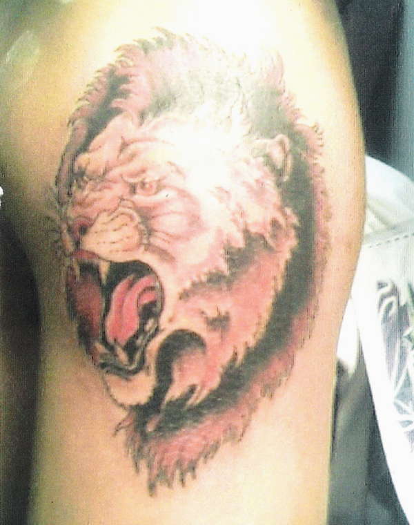 My Lion tattoo