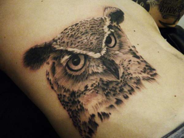 owl tattoo