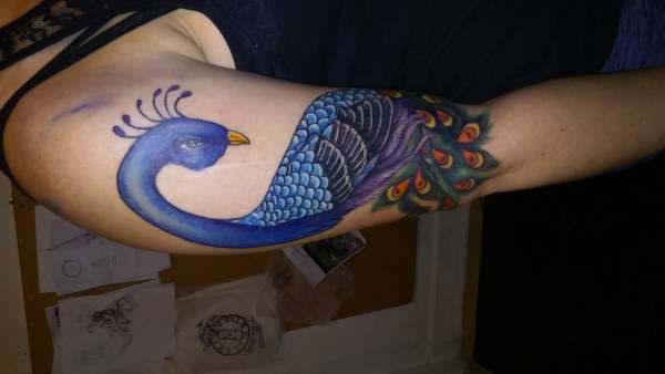 peacock tattoo by jessica morsey tattoo