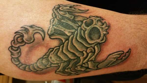 New Scorpion tattoo