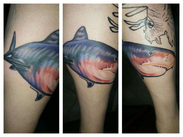 Tiger Shark tattoo
