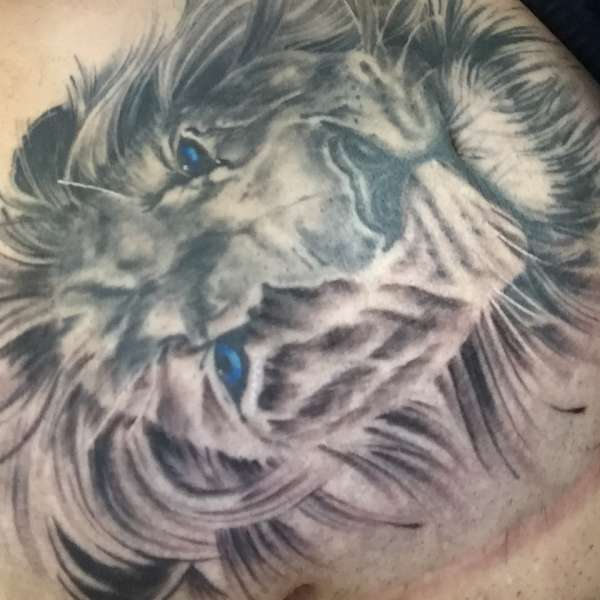 Lion (almost fully healed ? tattoo