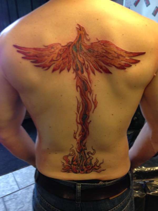 Phoenix - full back tattoo