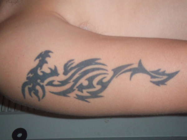 tribal dragon tattoo