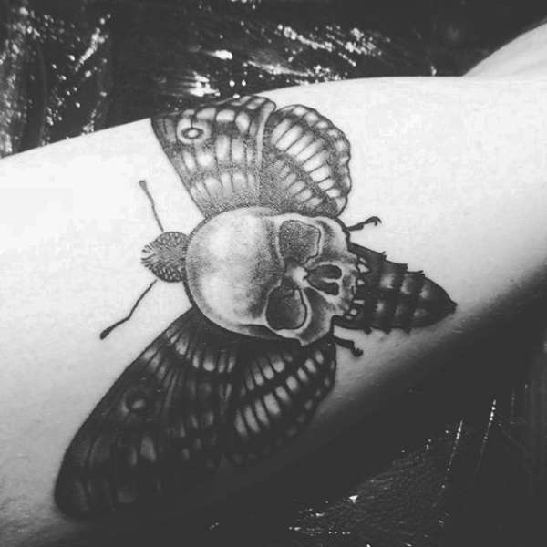 Deaths Head Moth tattoo