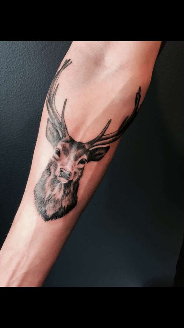 Deer tattoo forearm