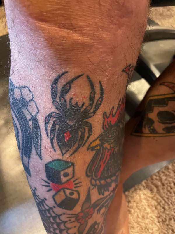 Spider on my leg tattoo