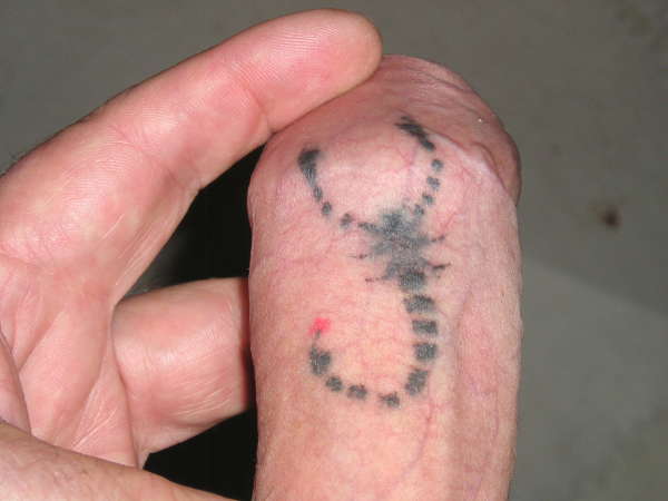 scopion tattoo