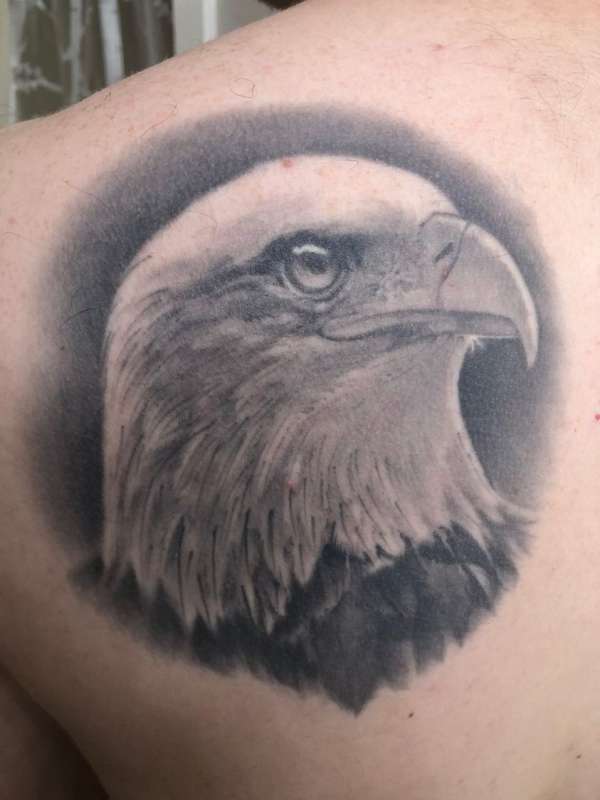 Bald Eagle Portrait tattoo