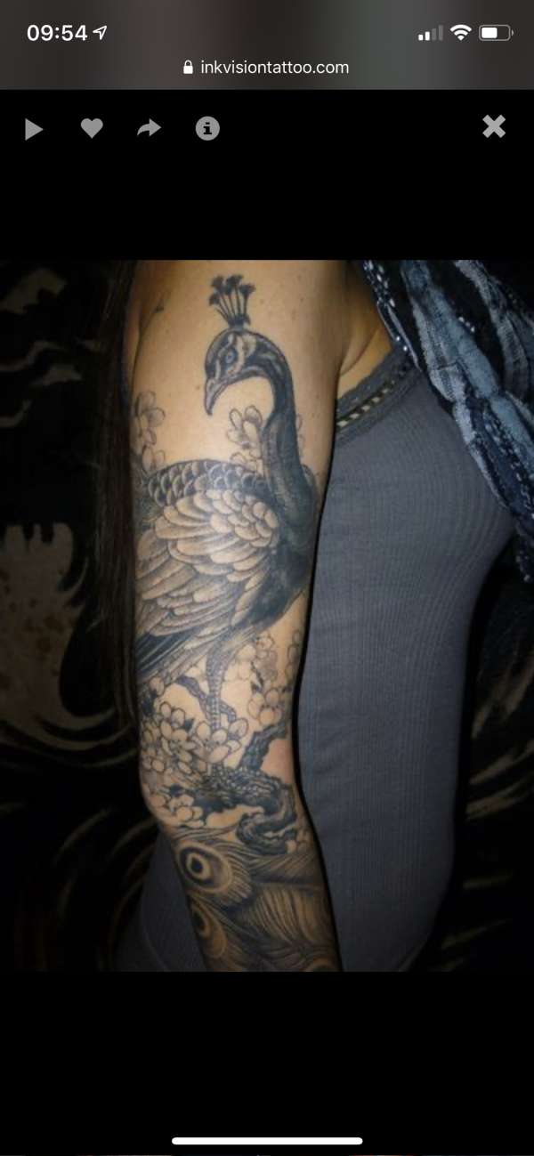 Grey scale, photo-realistic Peacock tattoo