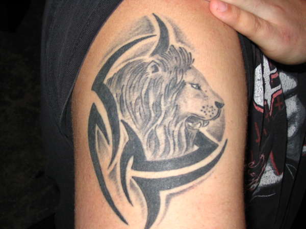Tribal lion tattoo