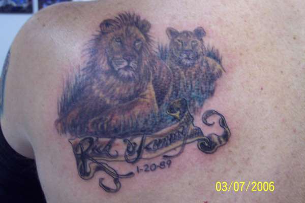 Lions tattoo