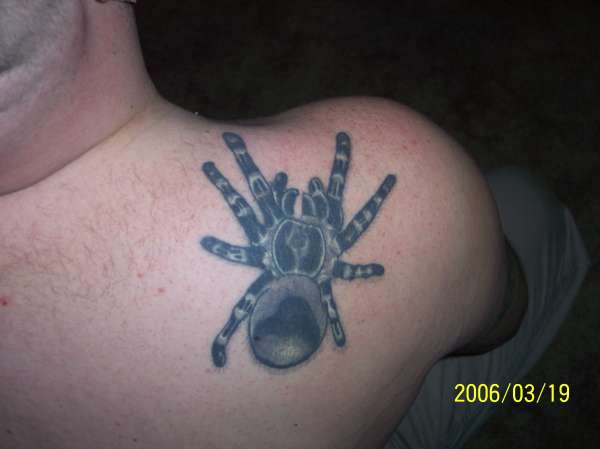 Trantuala tattoo