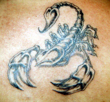 scorpion tattoo