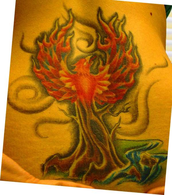 phoenix w/ color tattoo